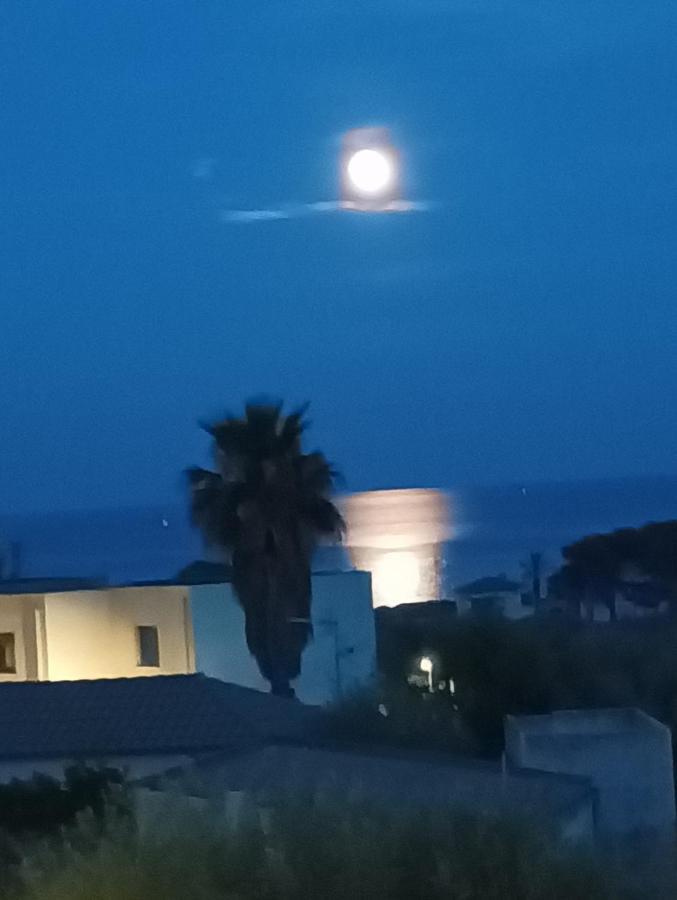 Villazen Les Cases d'Alcanar Bagian luar foto